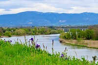 IMG_3279