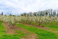 IMG_3278