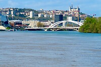 IMG_3281