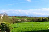 IMG_3299
