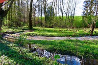IMG_3301