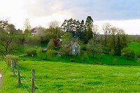 IMG_3302