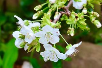 IMG_3308