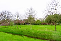 IMG_3324