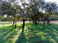 IMG_3893