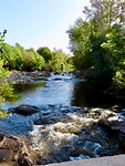 IMG_3891