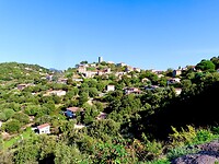IMG_3894