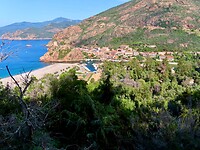 IMG_3975