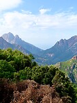 IMG_4009