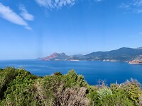 IMG_3973
