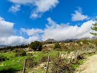 IMG_4016