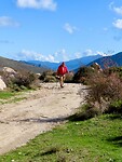 IMG_4017