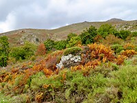 IMG_4024