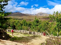 IMG_4029