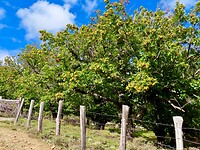 IMG_4027