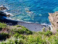 IMG_4106
