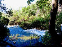 IMG_4117