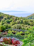 IMG_4135