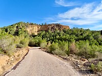 IMG_4440