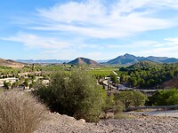 IMG_4441