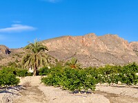 IMG_4442