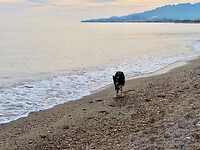 IMG_4443