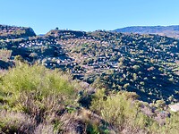 IMG_4512