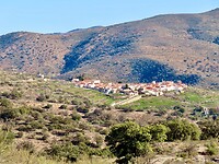 IMG_4515