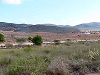 IMG_4567