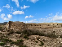 IMG_4568