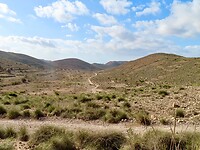 IMG_4569