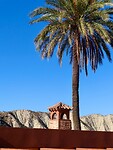IMG_4613
