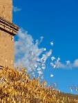 IMG_4649
