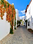 IMG_4650