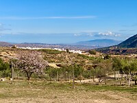 IMG_4652