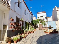 IMG_4651