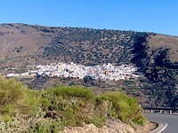 IMG_4659