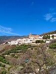 IMG_4661