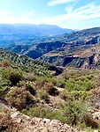 IMG_4662