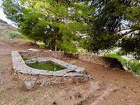 IMG_4723