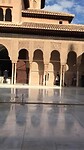 IMG_5570