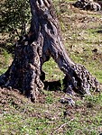 D2903797-F6C0-495C-BA05-B3C399B7C0C9