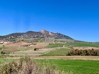 IMG_5065