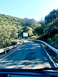 IMG_5070