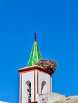 IMG_5163
