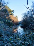 IMG_6426