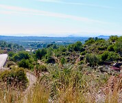 IMG_6587