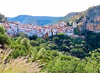 IMG_6593