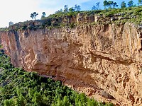 IMG_6599