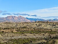 IMG_6691